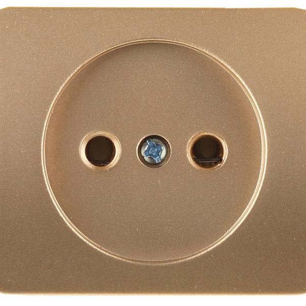 Электрическая розетка СВЕТОЗАР Гамма,б/з одинарная без вставки и рамки цвет золотой металл 16А/~250В